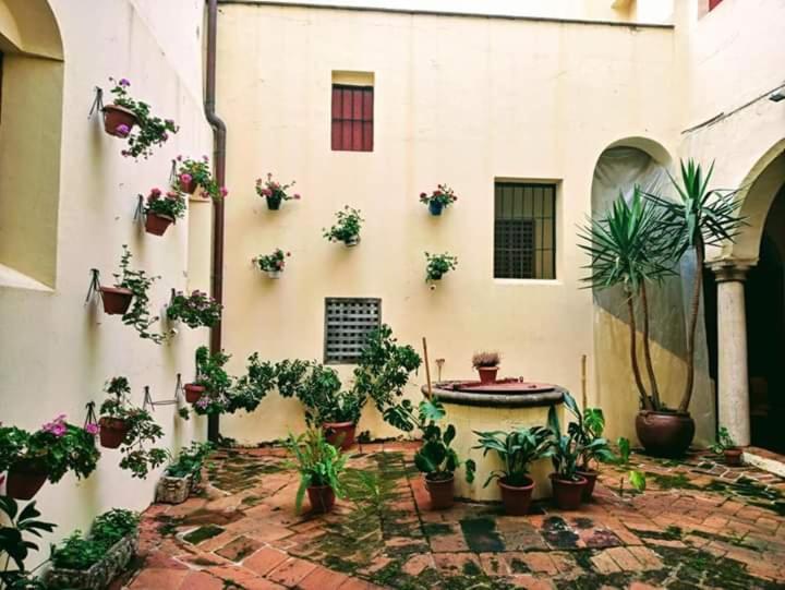 Albergue Convento S.Francisco Zafra Dış mekan fotoğraf
